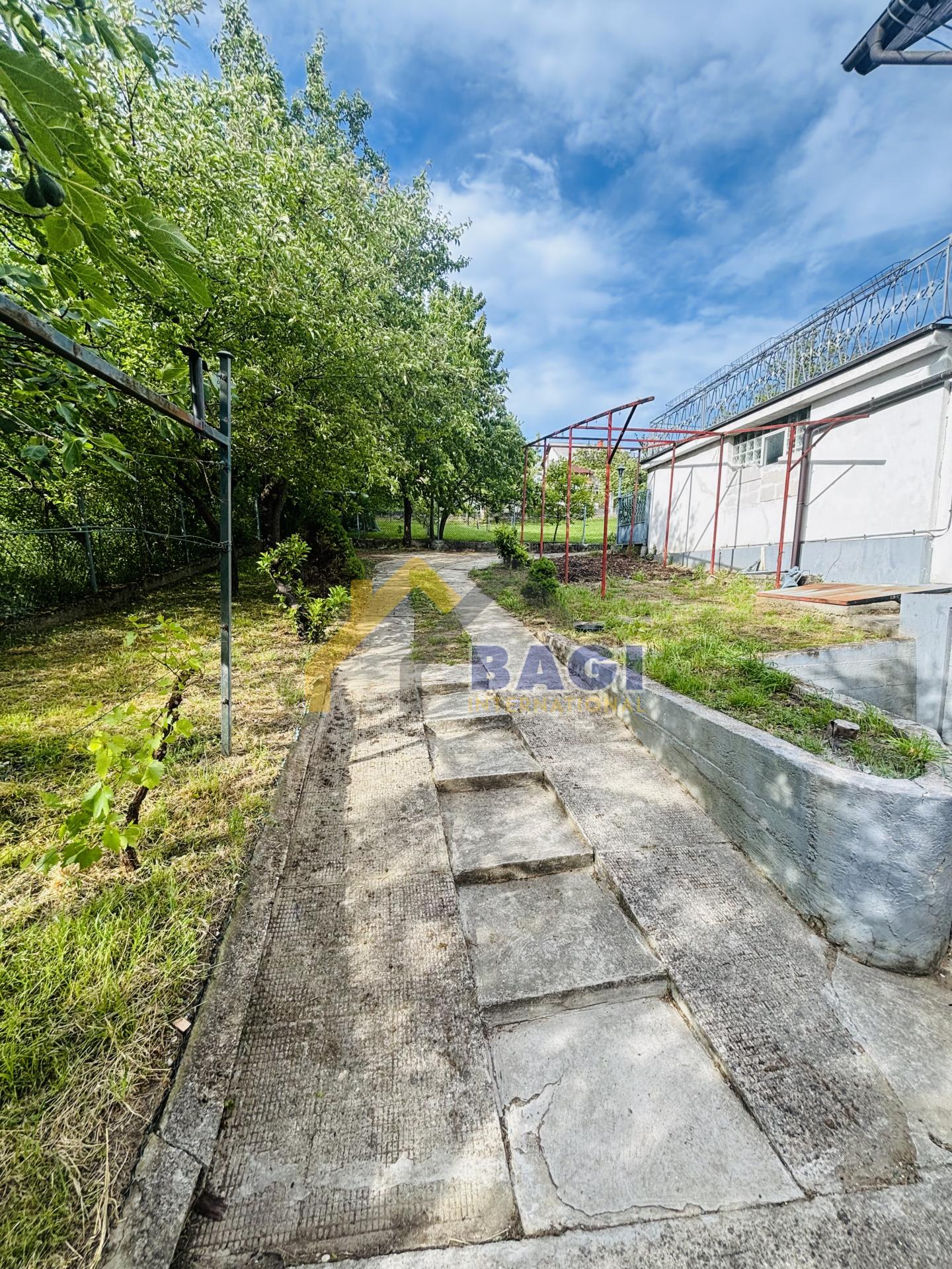 Image 14