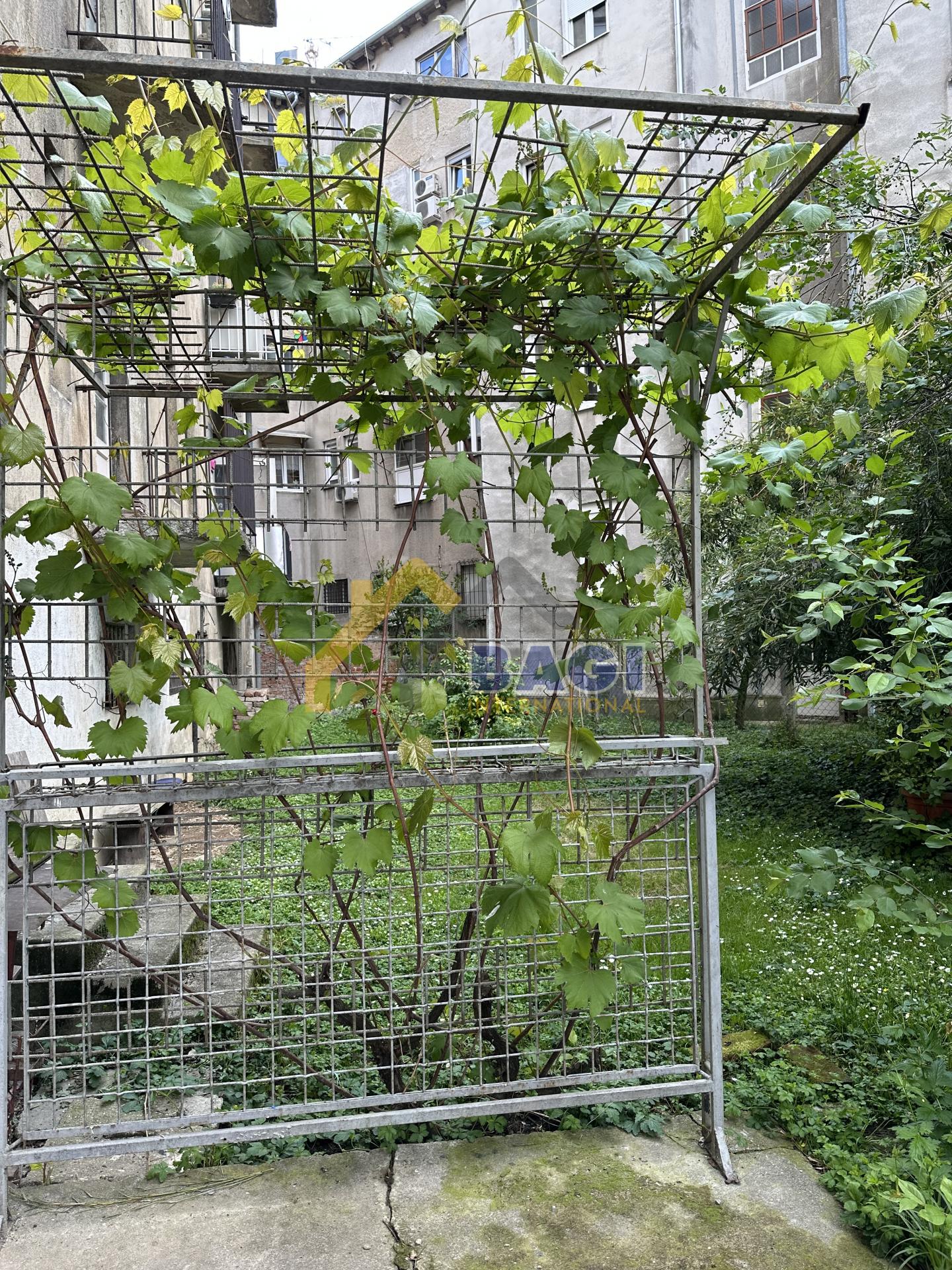 Image 16
