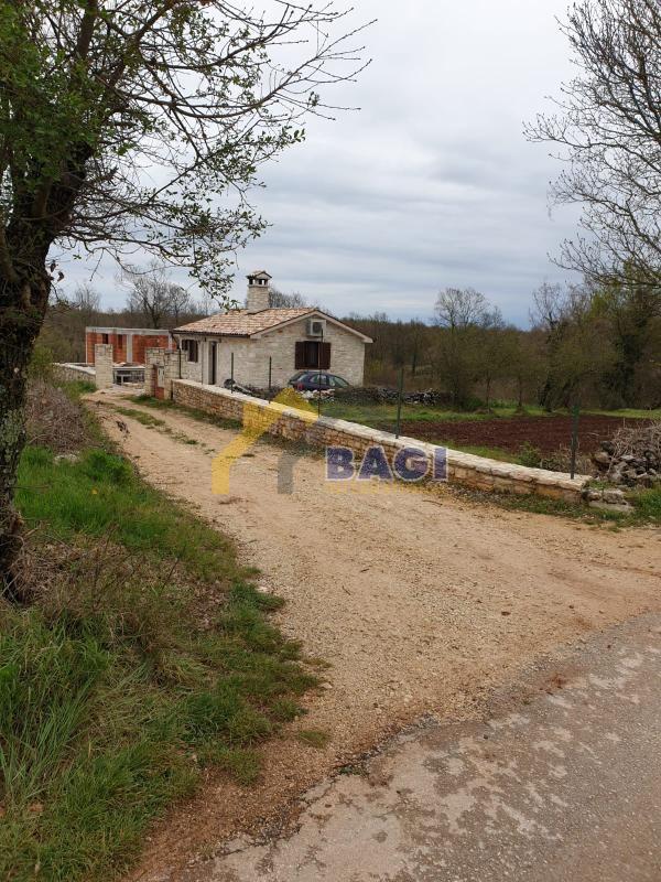 Image 10