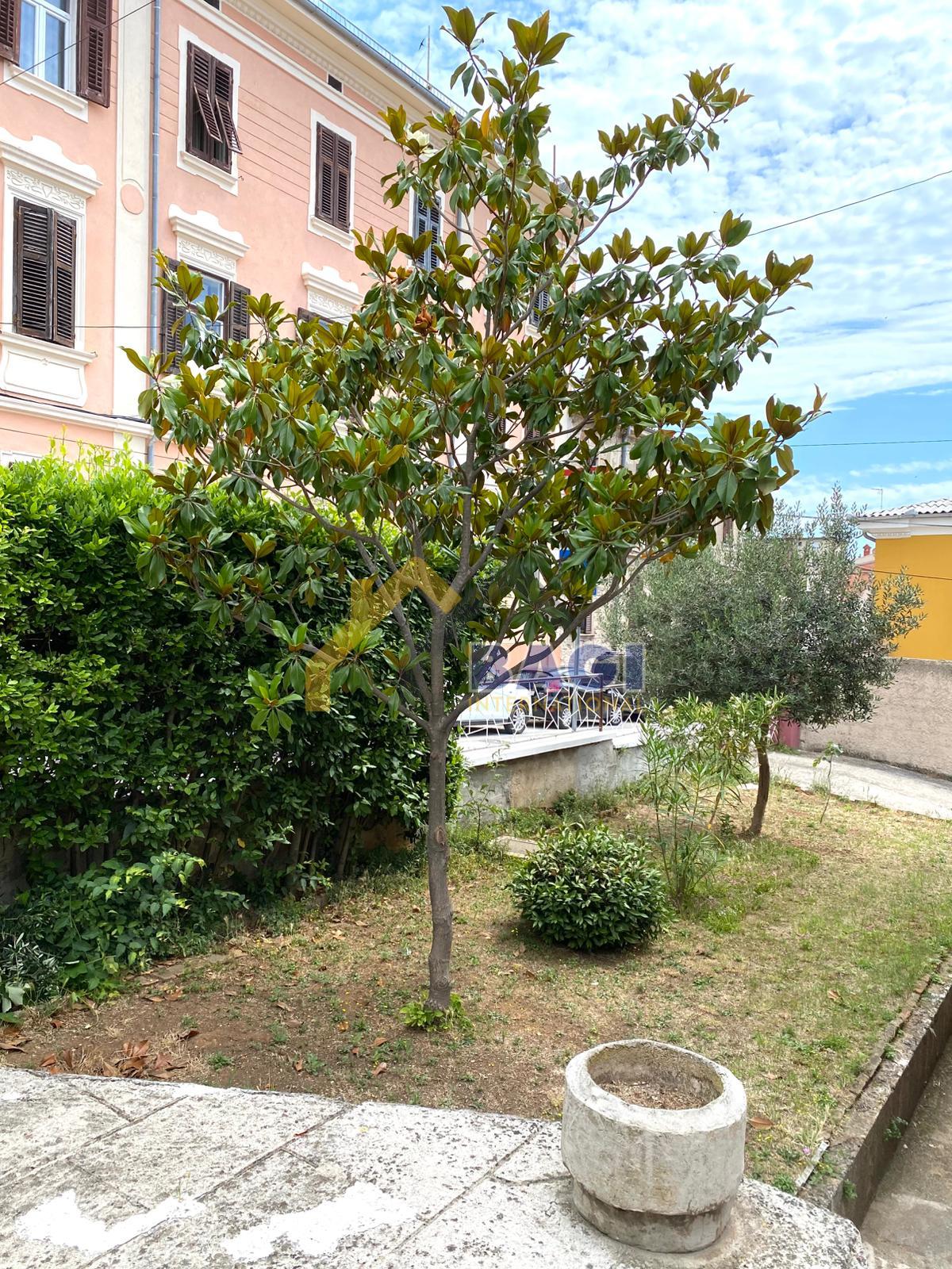 Image 19